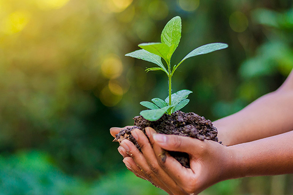 environmentindex